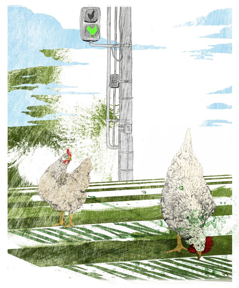 Illustration Hühner auf Zebrastreifen vor Ampel und Himmel