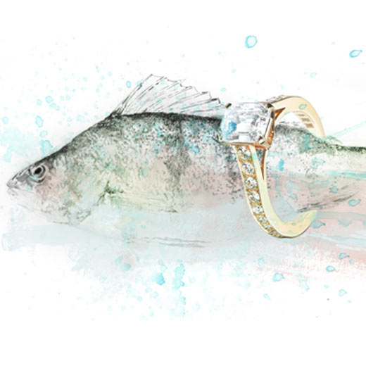 Illustration Fisch mit Schmuck Ring Brilliant im Wasser