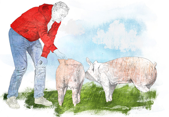 Illustration Mann Tourist beim Schweine füttern